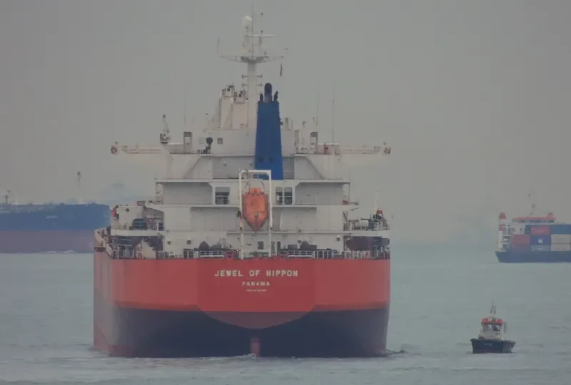 TASSOS N Bulk Carrier IMO 9476288 photo 8