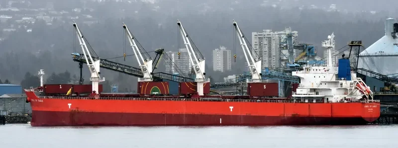 ASTRA N Bulk Carrier IMO 9476290 photo 9