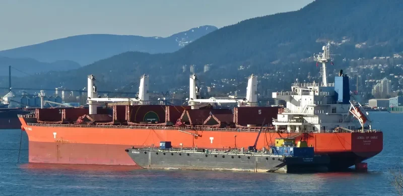 ASTRA N Bulk Carrier IMO 9476290 photo 10