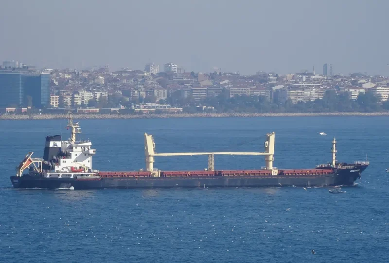 MEDIQUEEN Bulk Carrier IMO 9476410 photo 6