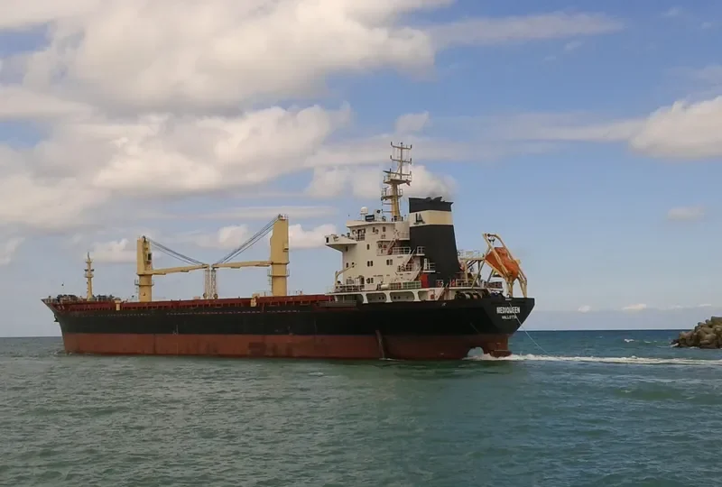 MEDIQUEEN Bulk Carrier IMO 9476410 photo 8