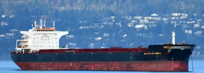 ANTONELLA LEMBO Bulk Carrier IMO 9476460 photo 4