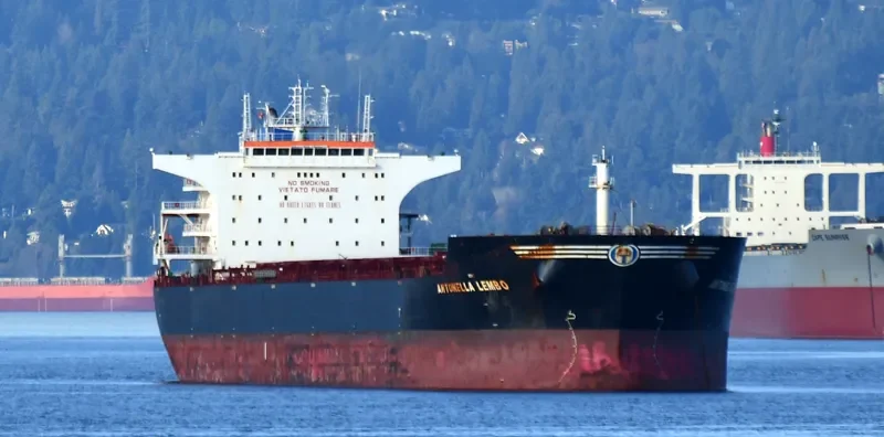 ANTONELLA LEMBO Bulk Carrier IMO 9476460 photo 5