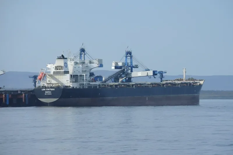 LDN FORTUNA Bulk Carrier IMO 9476472