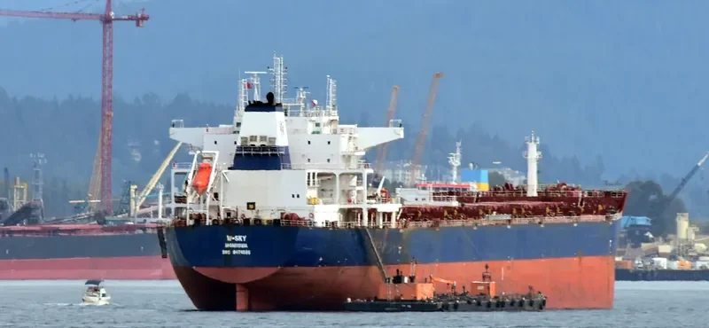 W SKY Bulk Carrier IMO 9476666