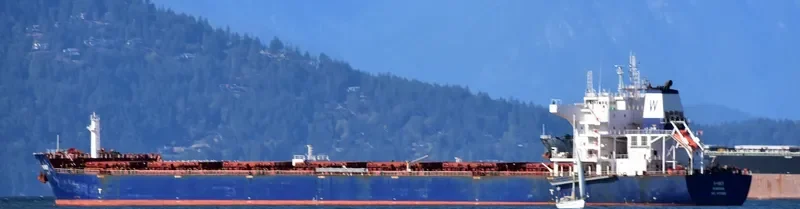 W SKY Bulk Carrier IMO 9476666 photo 3