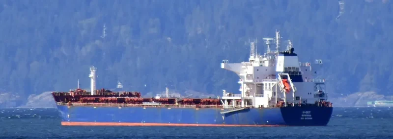 W SKY Bulk Carrier IMO 9476666 photo 4