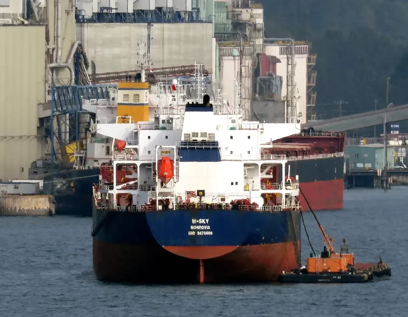 W SKY Bulk Carrier IMO 9476666 photo 7