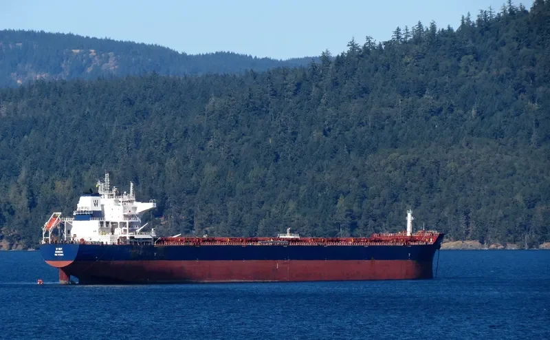 W SKY Bulk Carrier IMO 9476666 photo 8