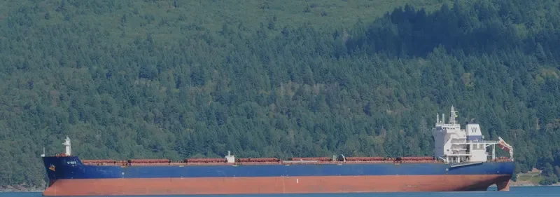 W SKY Bulk Carrier IMO 9476666 photo 9