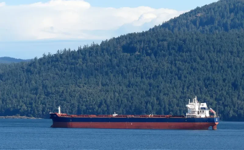 W SKY Bulk Carrier IMO 9476666 photo 10