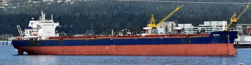 W STAR Bulk Carrier IMO 9476678
