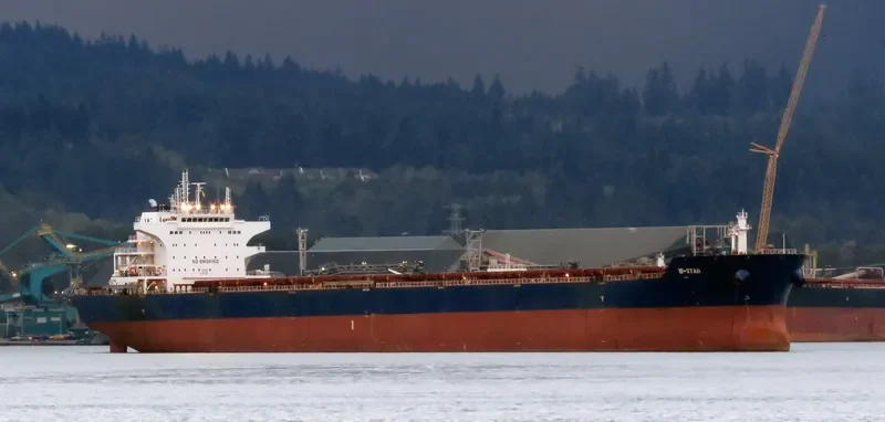 W STAR Bulk Carrier IMO 9476678 photo 5
