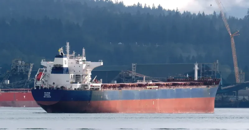 W STAR Bulk Carrier IMO 9476678 photo 6