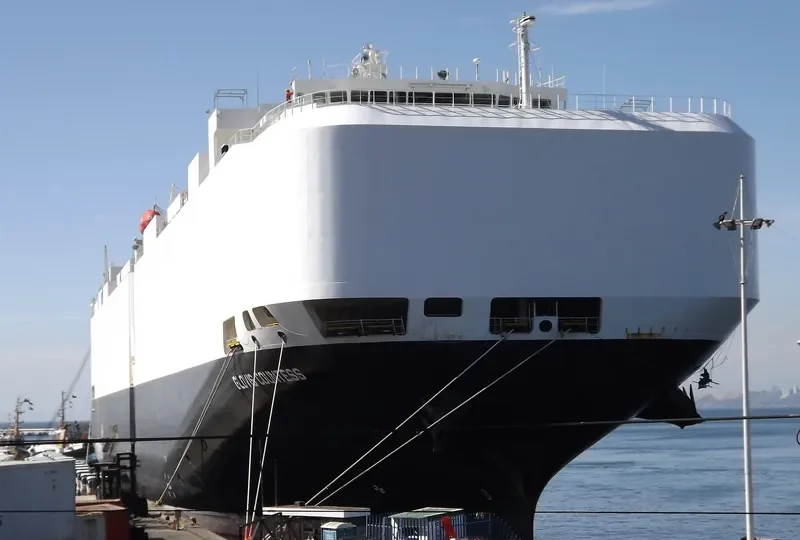 GLOVIS COUNTESS General Cargo IMO 9476721 photo 10
