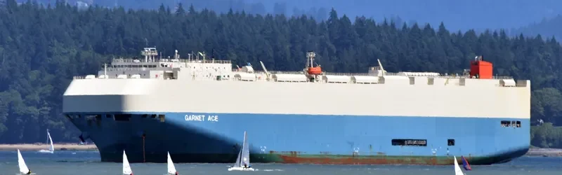 GARNET ACE General Cargo IMO 9476769 photo 5