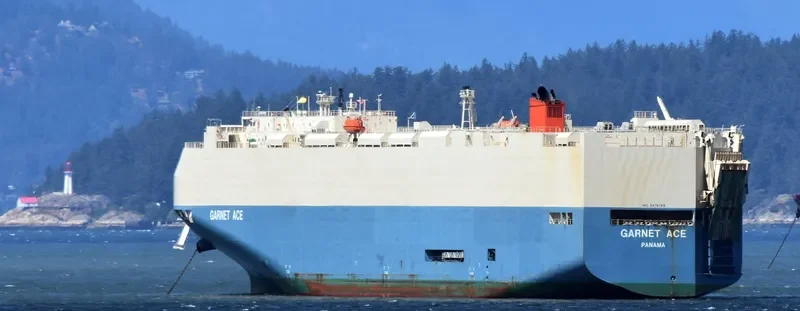 GARNET ACE General Cargo IMO 9476769 photo 6