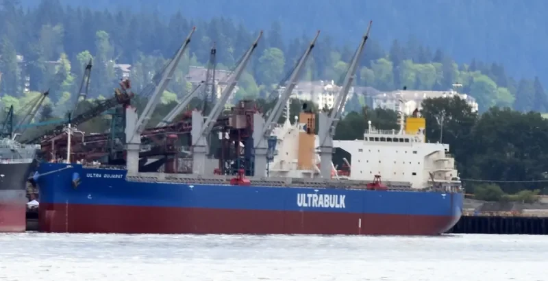 ULTRA GUJARAT Bulk Carrier IMO 9476927