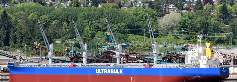 ULTRA GUJARAT Bulk Carrier IMO 9476927 photo 2
