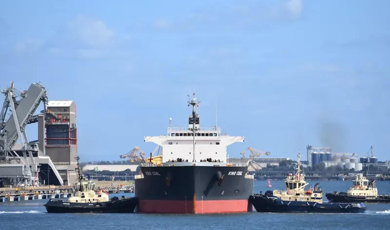 KING COAL Bulk Carrier IMO 9476939