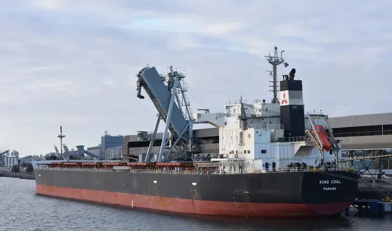 KING COAL Bulk Carrier IMO 9476939 photo 4