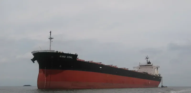 KING COAL Bulk Carrier IMO 9476939 photo 10