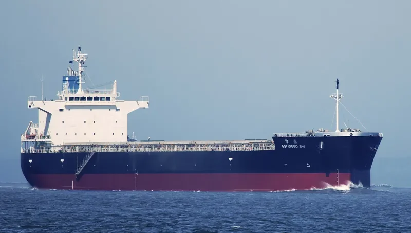 MODEST SW Bulk Carrier IMO 9476941 photo 2