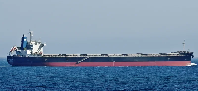 MODEST SW Bulk Carrier IMO 9476941 photo 3