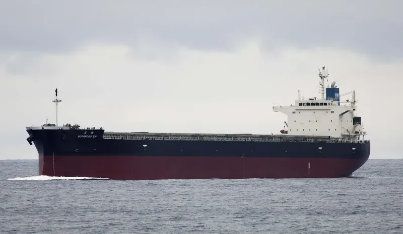MODEST SW Bulk Carrier IMO 9476941 photo 4