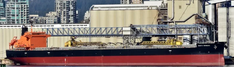 SANTA BARBARA Bulk Carrier IMO 9476953 photo 2