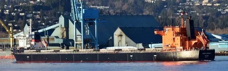SANTA BARBARA Bulk Carrier IMO 9476953 photo 3