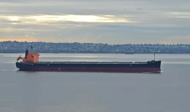 SANTA BARBARA Bulk Carrier IMO 9476953 photo 6