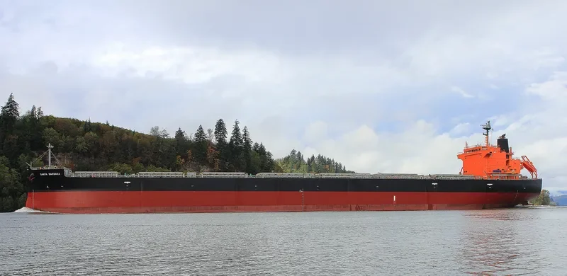 SANTA BARBARA Bulk Carrier IMO 9476953 photo 10