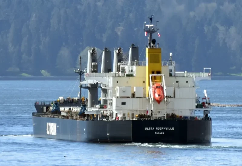 ULTRA ROCANVILLE Bulk Carrier IMO 9476965 photo 7