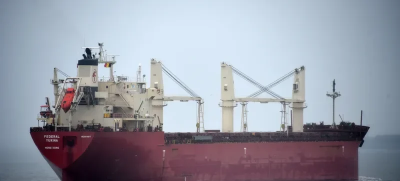 FEDERAL YUKINA Bulk Carrier IMO 9476977 photo 7