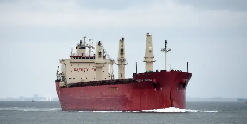FEDERAL YUKINA Bulk Carrier IMO 9476977 photo 8