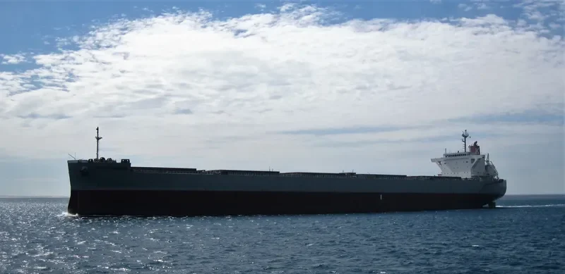 CORONA QUEEN Bulk Carrier IMO 9477191 photo 2
