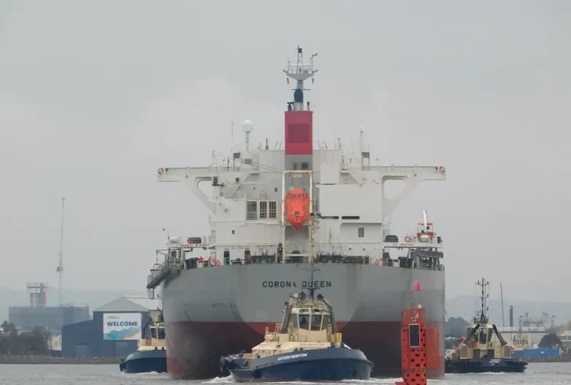 CORONA QUEEN Bulk Carrier IMO 9477191 photo 10