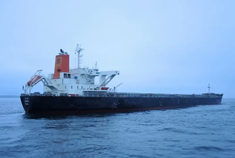 SHORYU Bulk Carrier IMO 9477206 photo 2