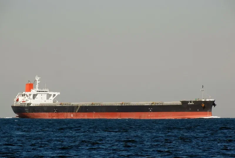 SHORYU Bulk Carrier IMO 9477206 photo 3
