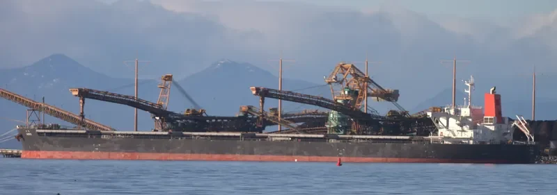 SHORYU Bulk Carrier IMO 9477206 photo 7