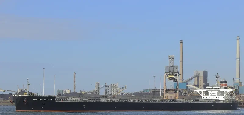 AMAZING SALUTE Bulk Carrier IMO 9477232 photo 9