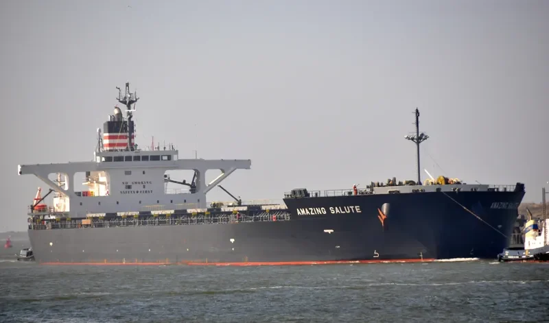 AMAZING SALUTE Bulk Carrier IMO 9477232 photo 10
