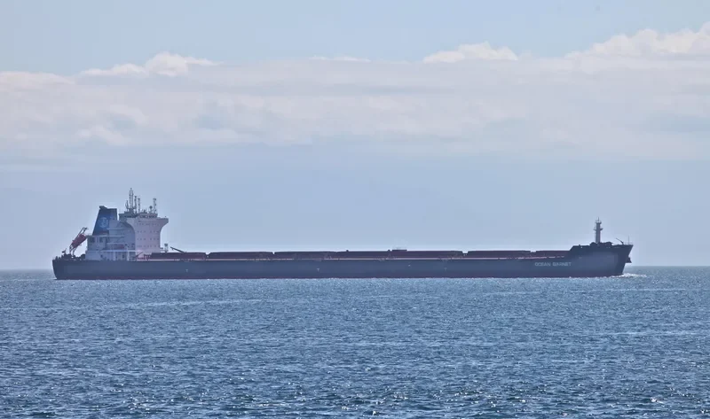 CELINE OLDENDORFF Bulk Carrier IMO 9477244 photo 8