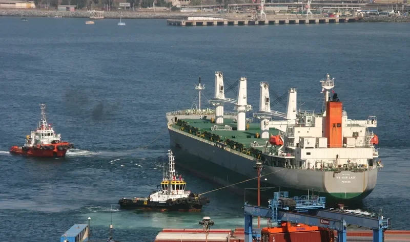 MY FAIR LADY Bulk Carrier IMO 9477282