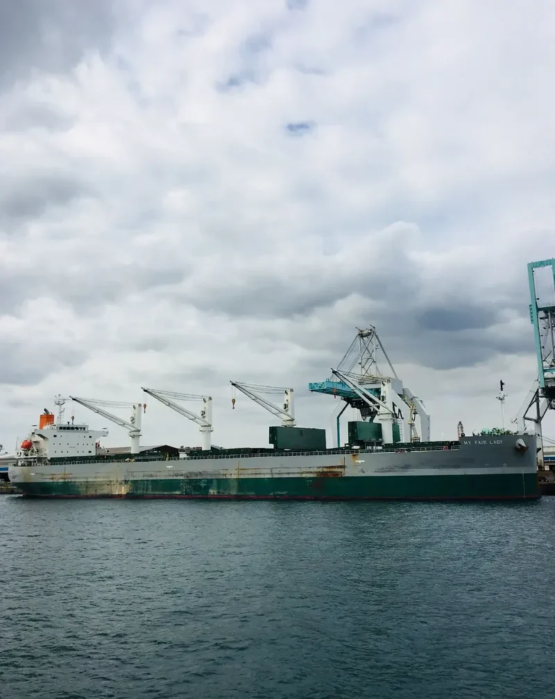 MY FAIR LADY Bulk Carrier IMO 9477282 photo 2