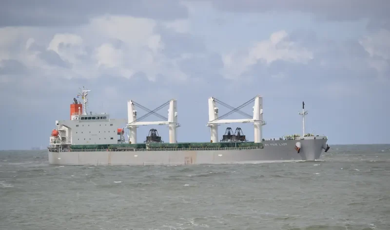 MY FAIR LADY Bulk Carrier IMO 9477282 photo 3