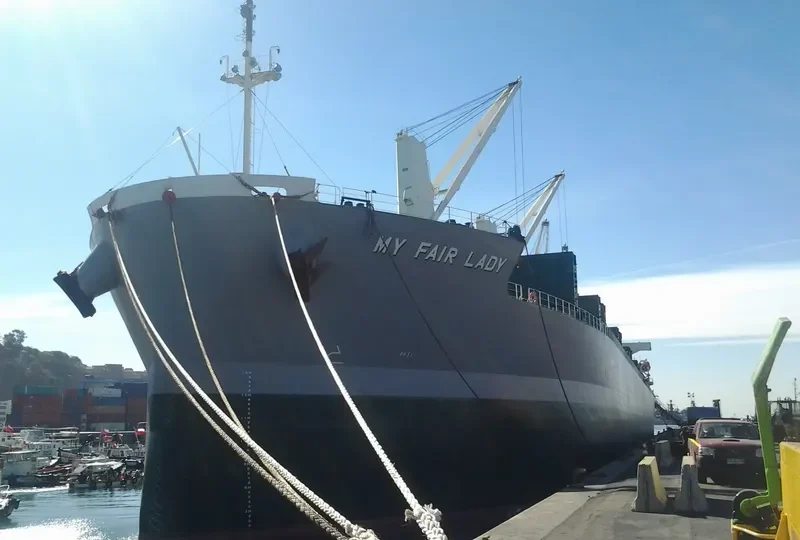 MY FAIR LADY Bulk Carrier IMO 9477282 photo 4