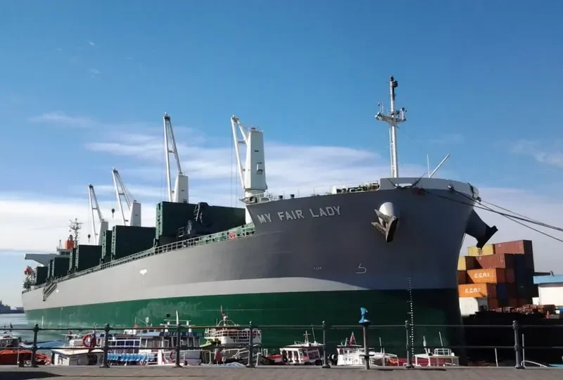 MY FAIR LADY Bulk Carrier IMO 9477282 photo 5