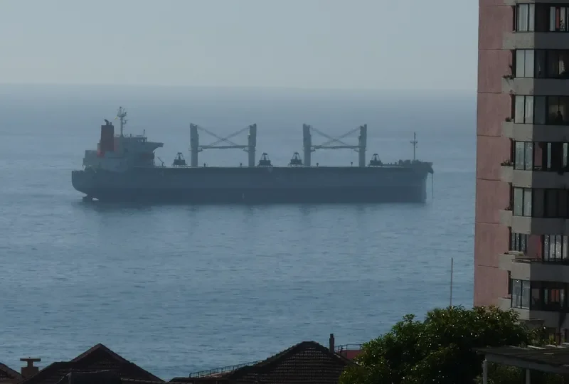 MY FAIR LADY Bulk Carrier IMO 9477282 photo 6